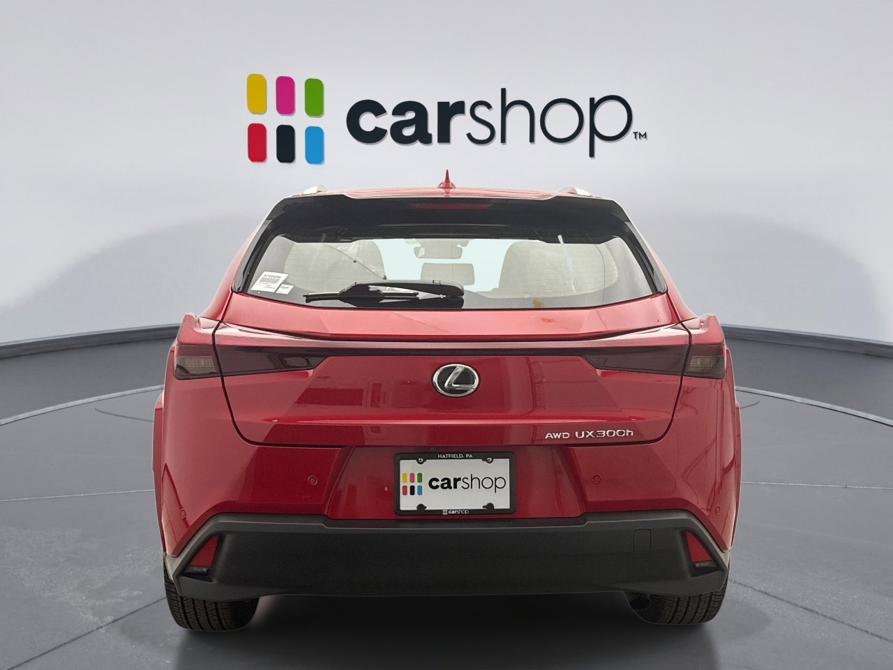 Used 2025 Lexus UX 300h AWD w/ Cold Area Package image 4