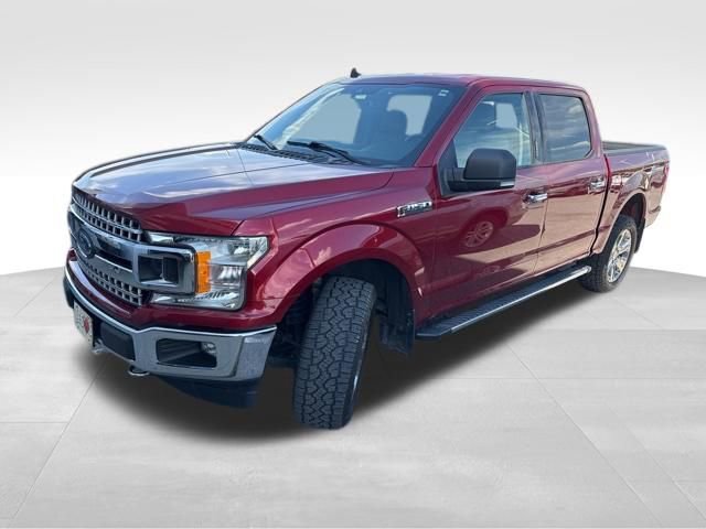 Used 2019 Ford F150 XLT w/ Equipment Group 302A Luxury AWD/4WD image 2