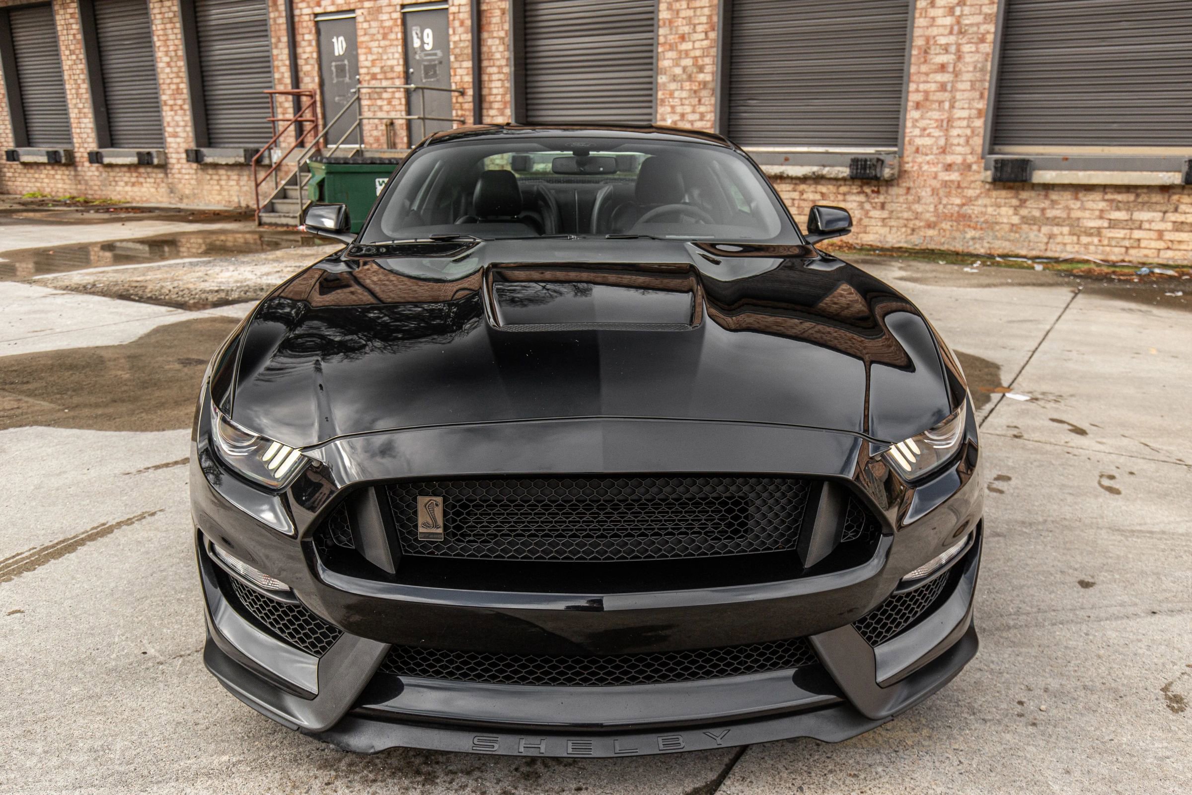 Used 2019 Ford Mustang Shelby GT350 w/ Technology Package image 15