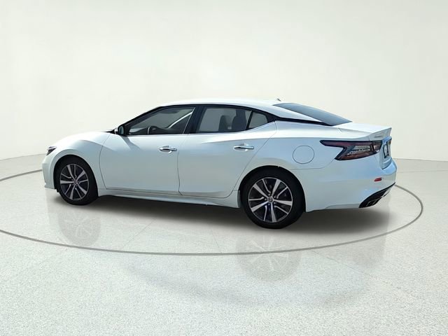 Used 2019 Nissan Maxima 3.5 SV w/ Floor Mat Group FWD image 3
