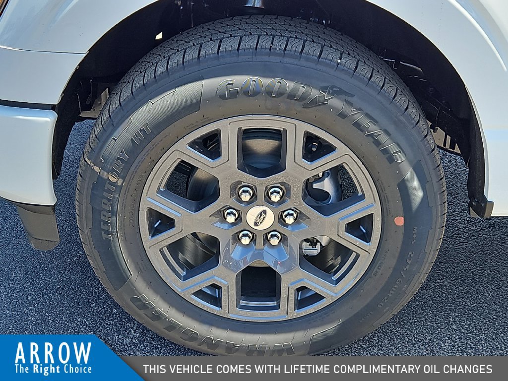 New 2026 Ford F150 STX w/ Equipment Group 200A RWD image 17