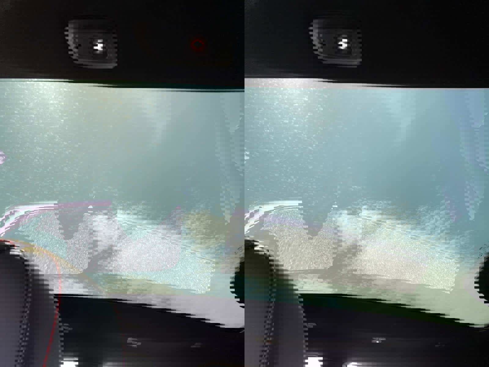 New 2026 Dodge Charger R/T image 6