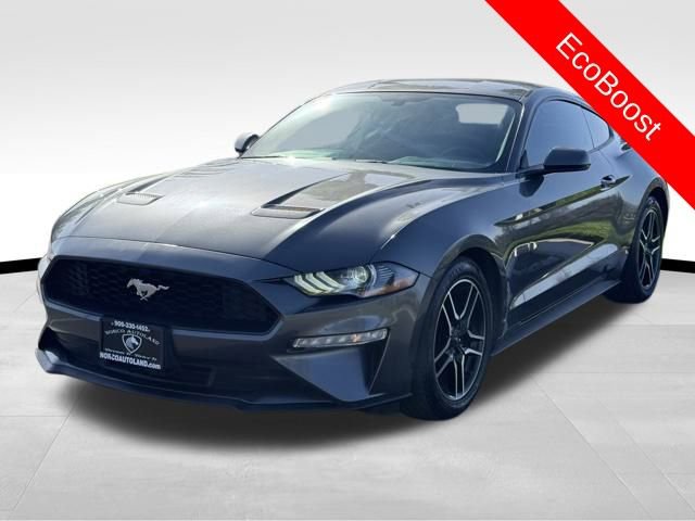 Used 2018 Ford Mustang Coupe w/ Equipment Group 101A image 3