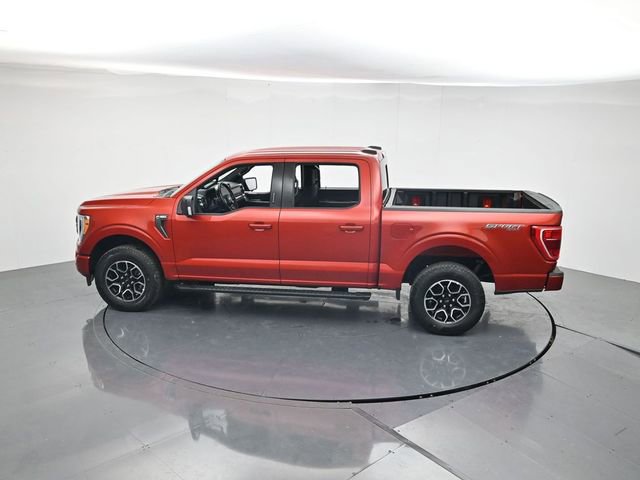 Used 2023 Ford F150 XLT w/ Equipment Group 302A High AWD/4WD image 40