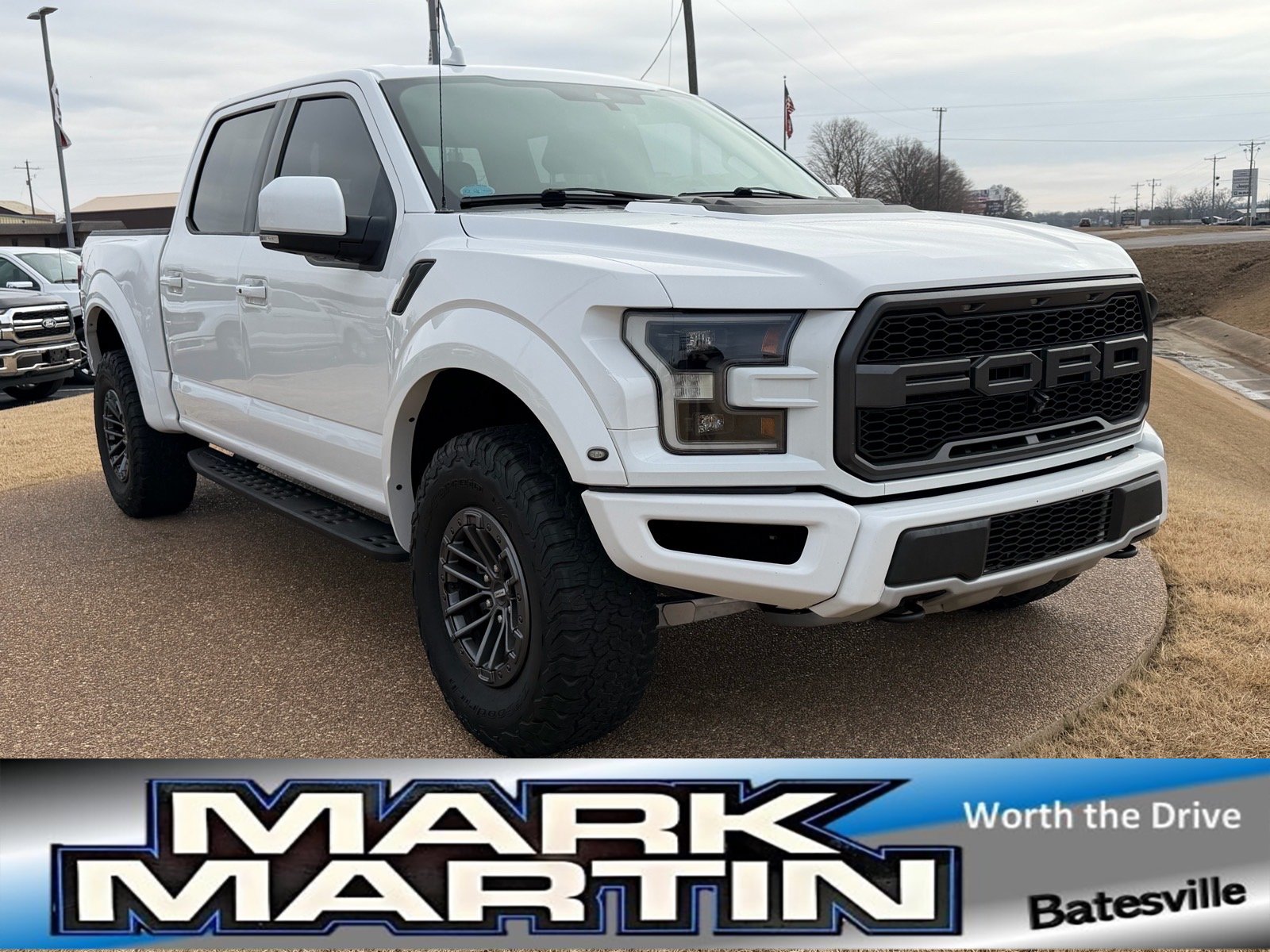 Used 2019 Ford F150 Raptor w/ Equipment Group 802A Luxury AWD/4WD image 1