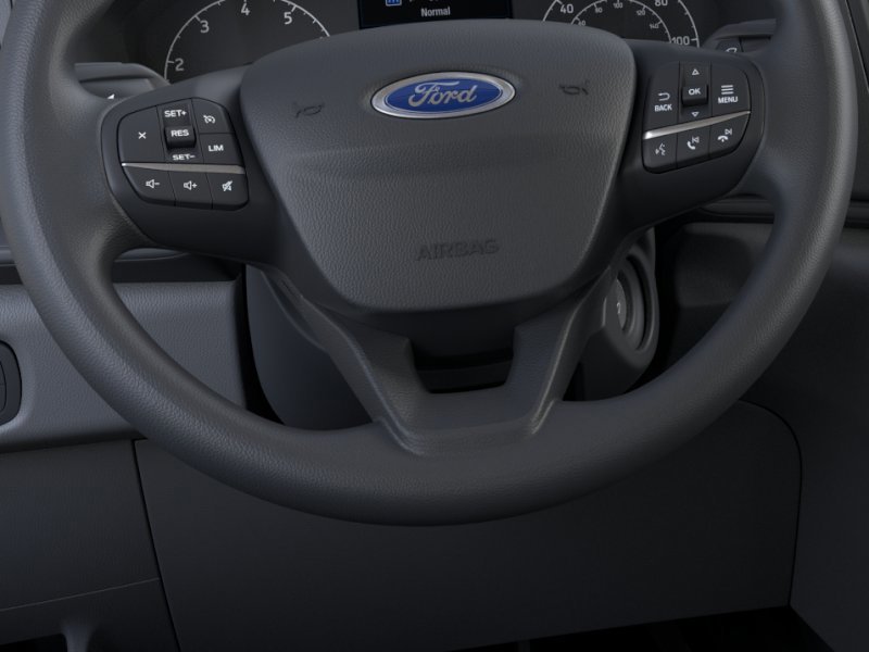 New 2025 Ford Transit 250 Low Roof RWD image 12