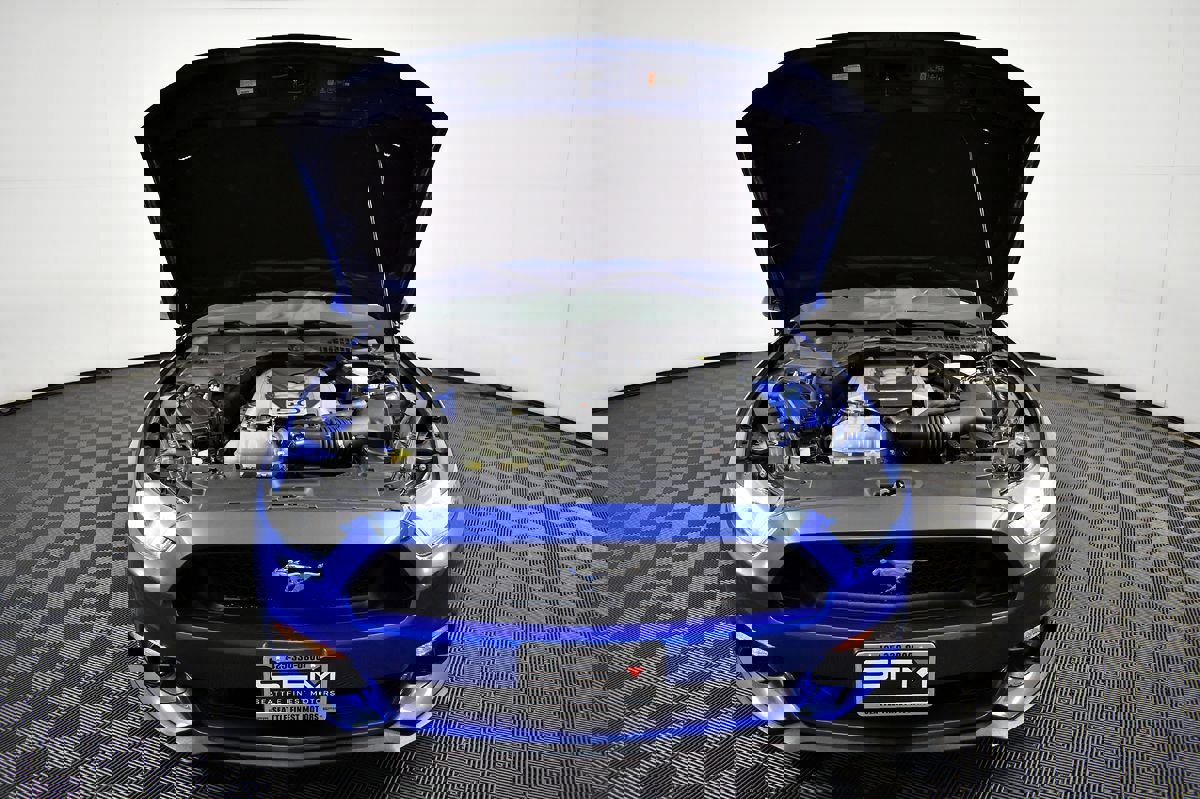 Used 2017 Ford Mustang GT Premium w/ Equipment Group 401A image 52