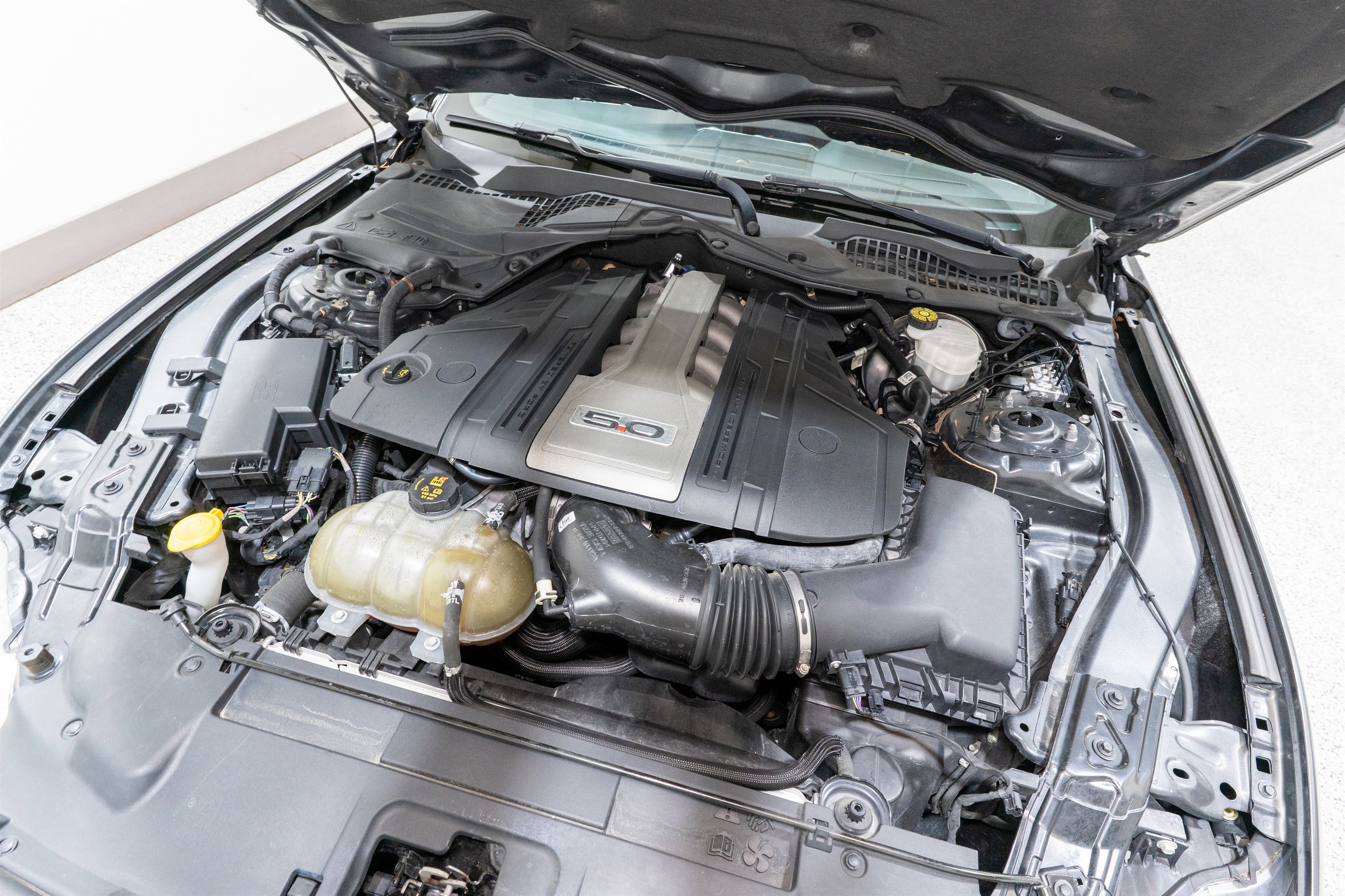 Used 2019 Ford Mustang GT image 28