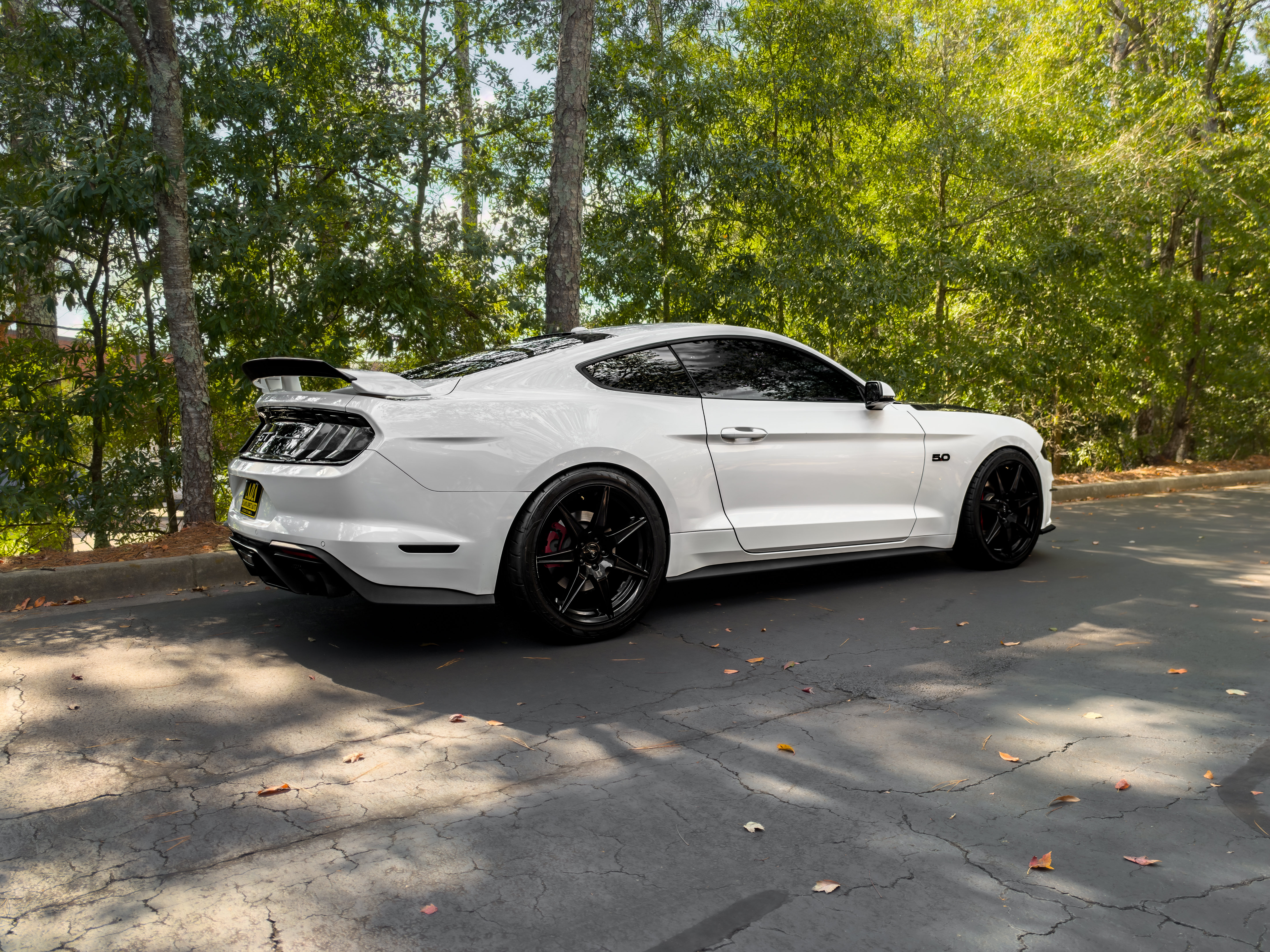 Used 2019 Ford Mustang GT Premium w/ GT Performance Package RWD image 50