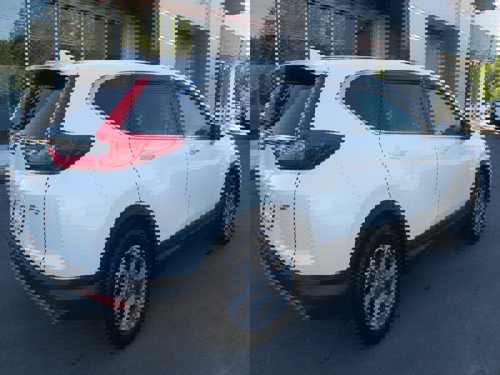 Used 2019 Honda CR-V EX-L image 5