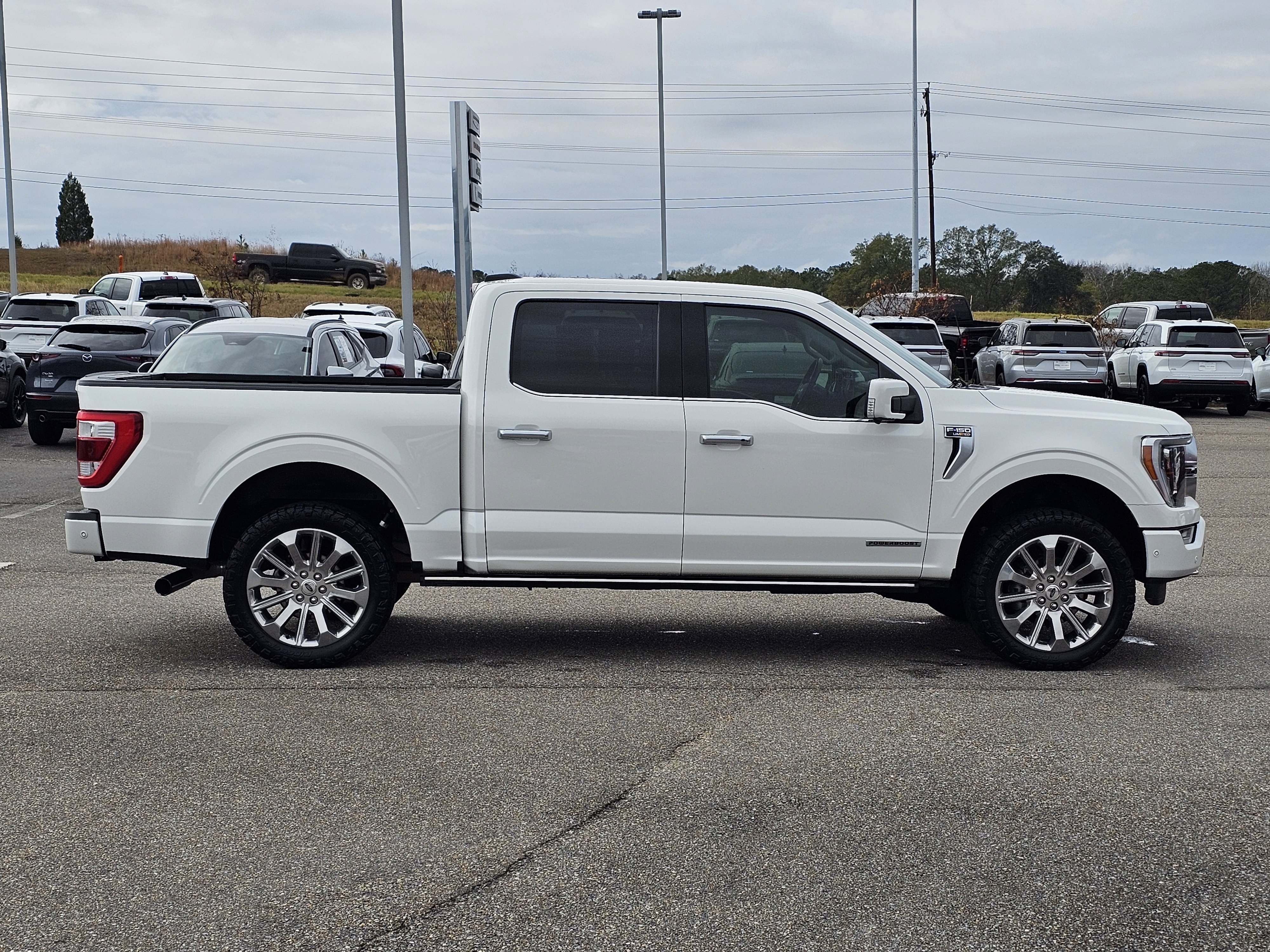 Used 2021 Ford F150 Limited image 7