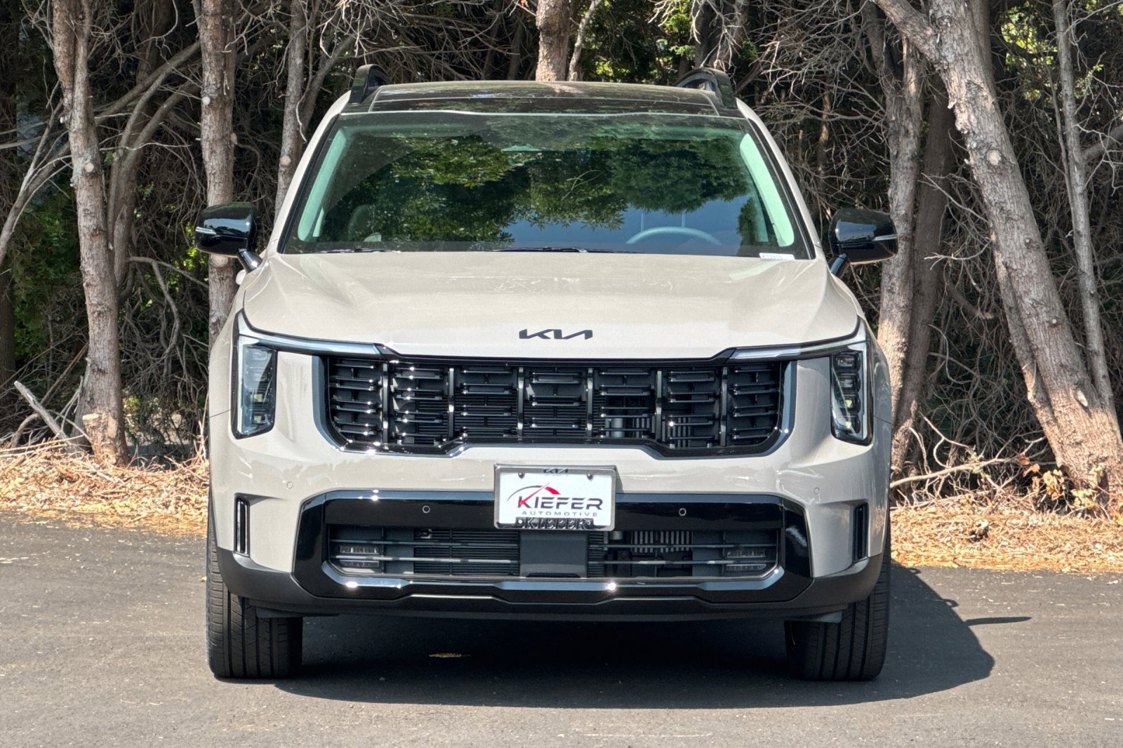 New 2026 Kia Sorento X-Line EX image 5