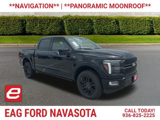 New 2025 Ford F150 Platinum w/ Equipment Group 702A High