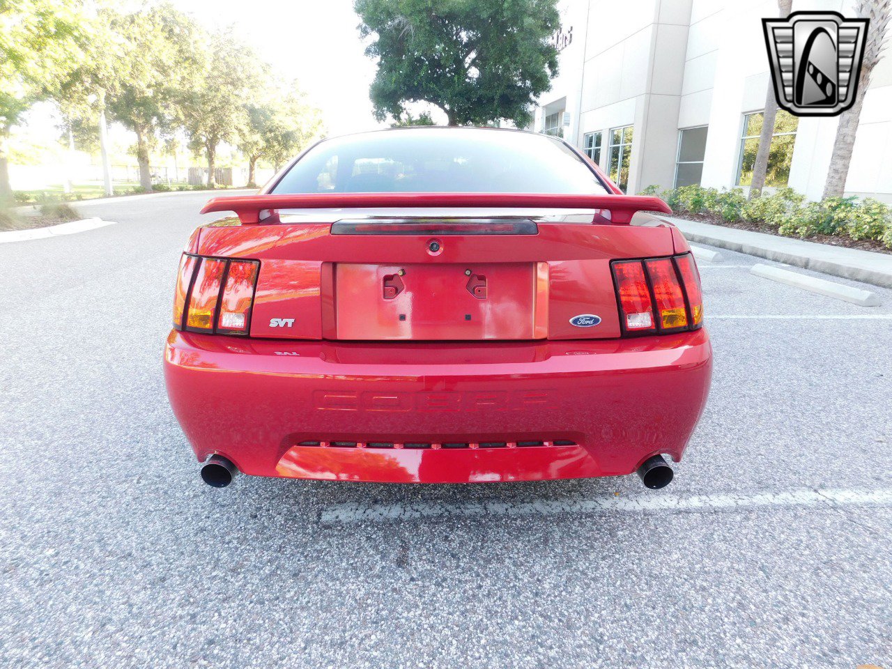 Used 2001 Ford Mustang Cobra image 4