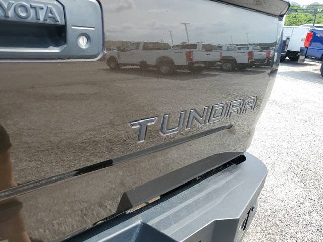 Used 2021 Toyota Tundra Platinum AWD/4WD image 9