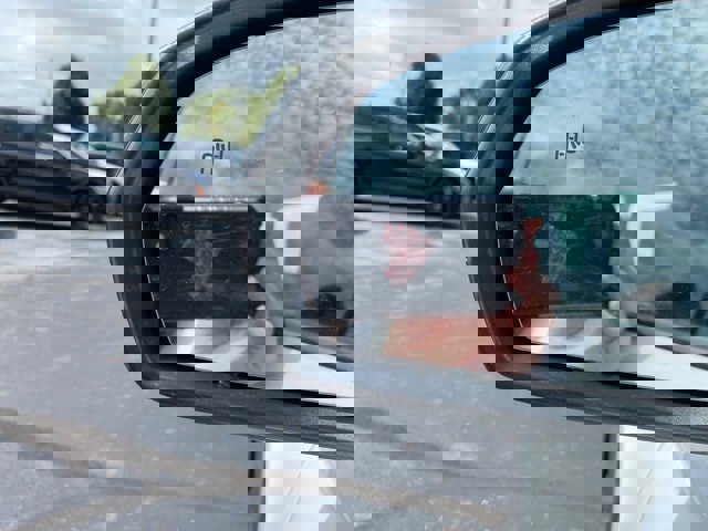 New 2025 Volkswagen Taos S image 15