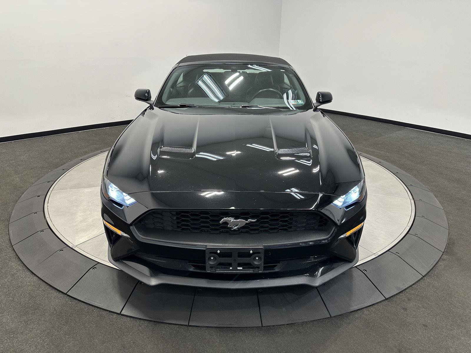 Used 2019 Ford Mustang Premium RWD image 3
