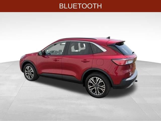 Used 2020 Ford Escape SEL AWD/4WD image 4