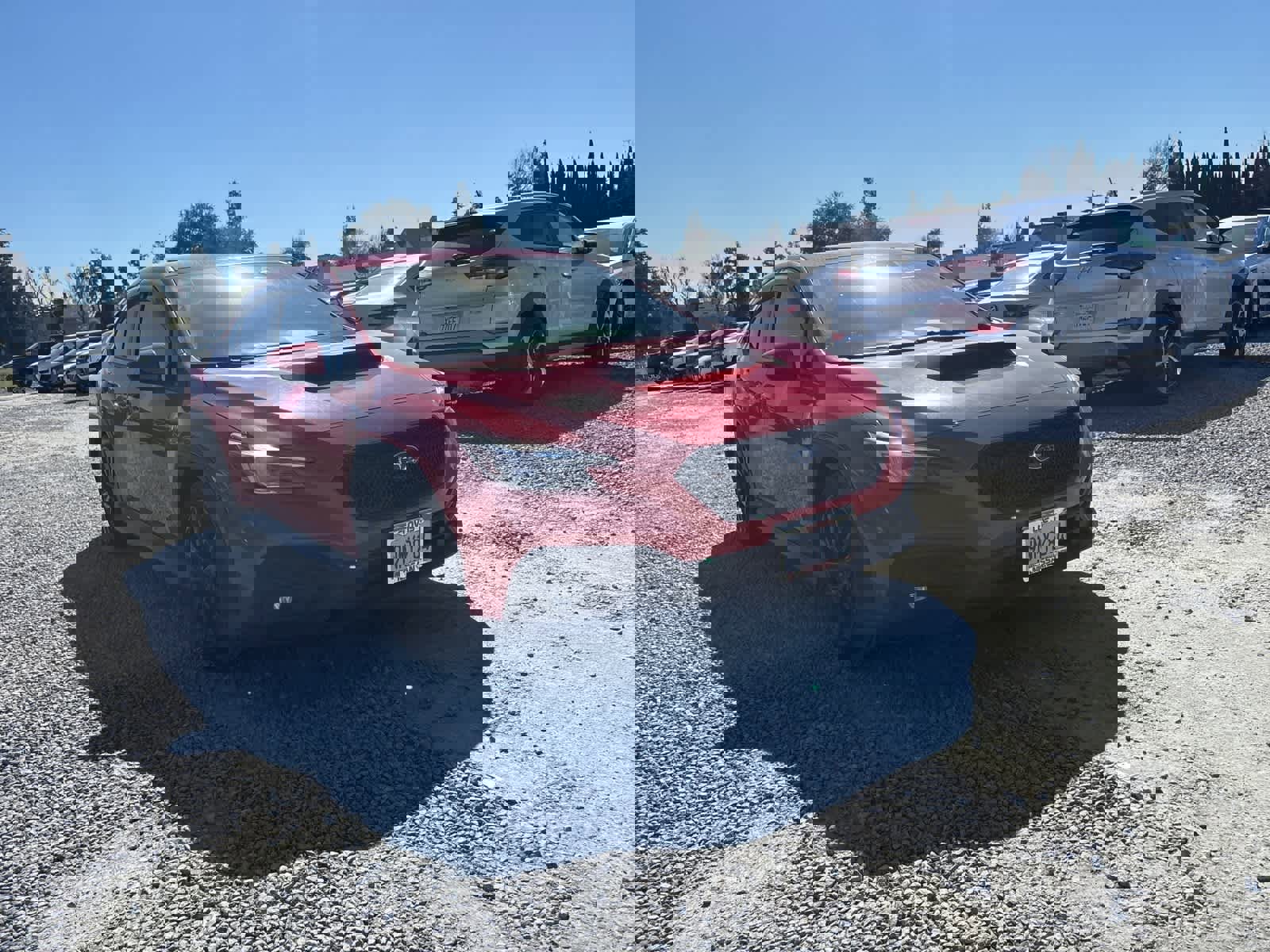 Used 2022 Subaru WRX Premium image 9