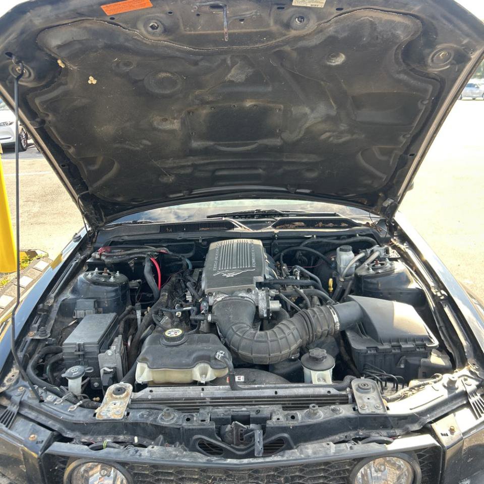 Used 2009 Ford Mustang GT RWD image 17