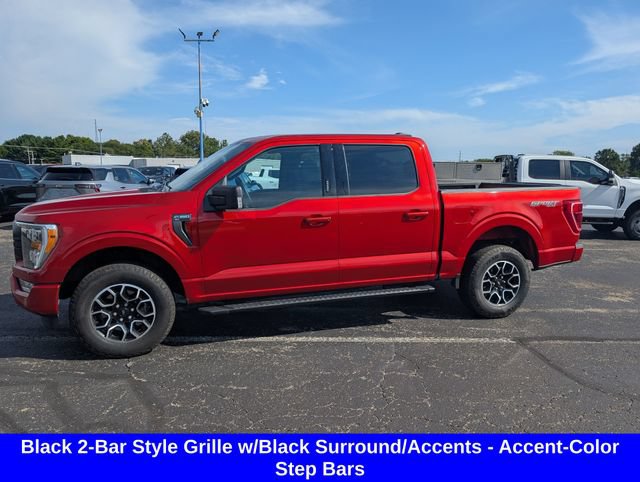 Used 2023 Ford F150 XLT w/ Equipment Group 302A High AWD/4WD image 5