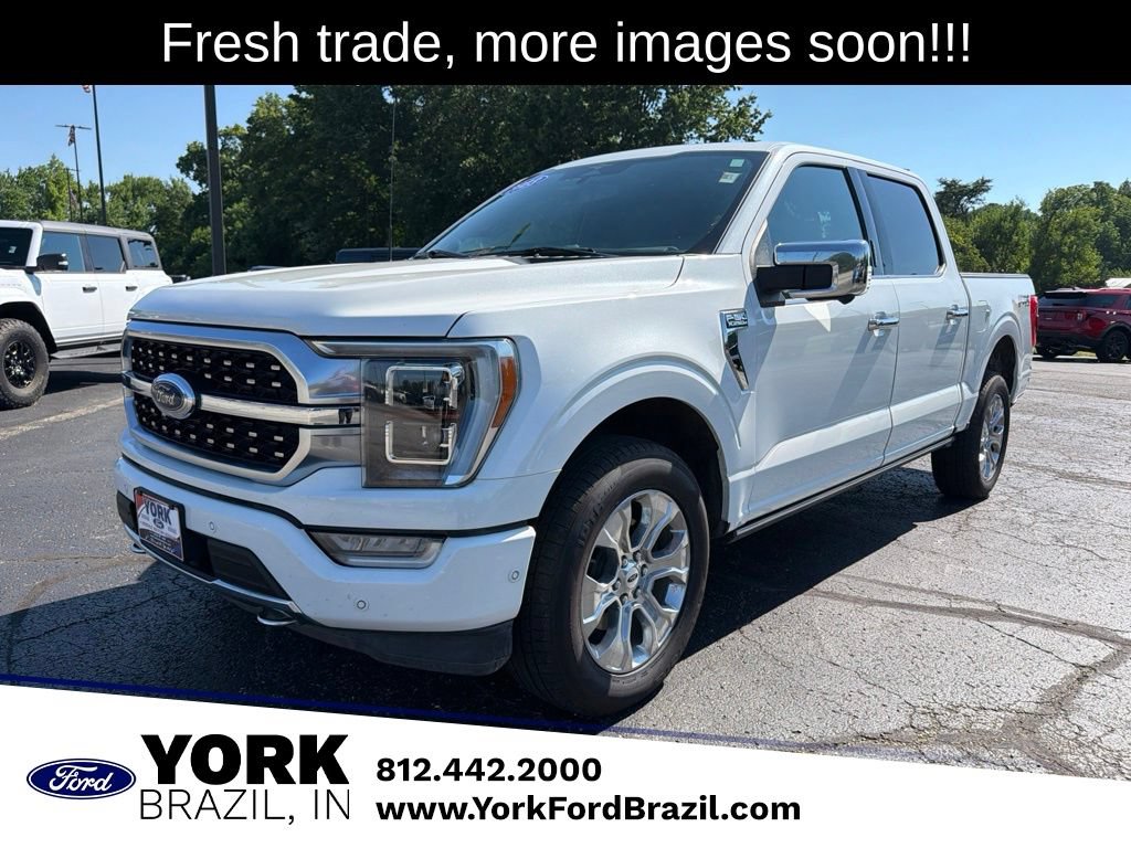 Used 2023 Ford F150 Platinum w/ Equipment Group 701A High