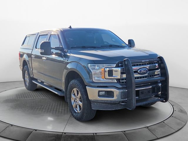 Used 2020 Ford F150 XLT w/ Equipment Group 302A Luxury image 7