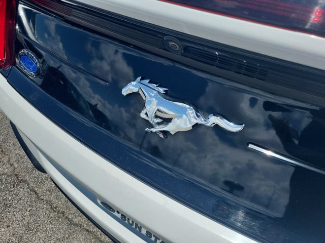 Used 2023 Ford Mustang Premium RWD image 7
