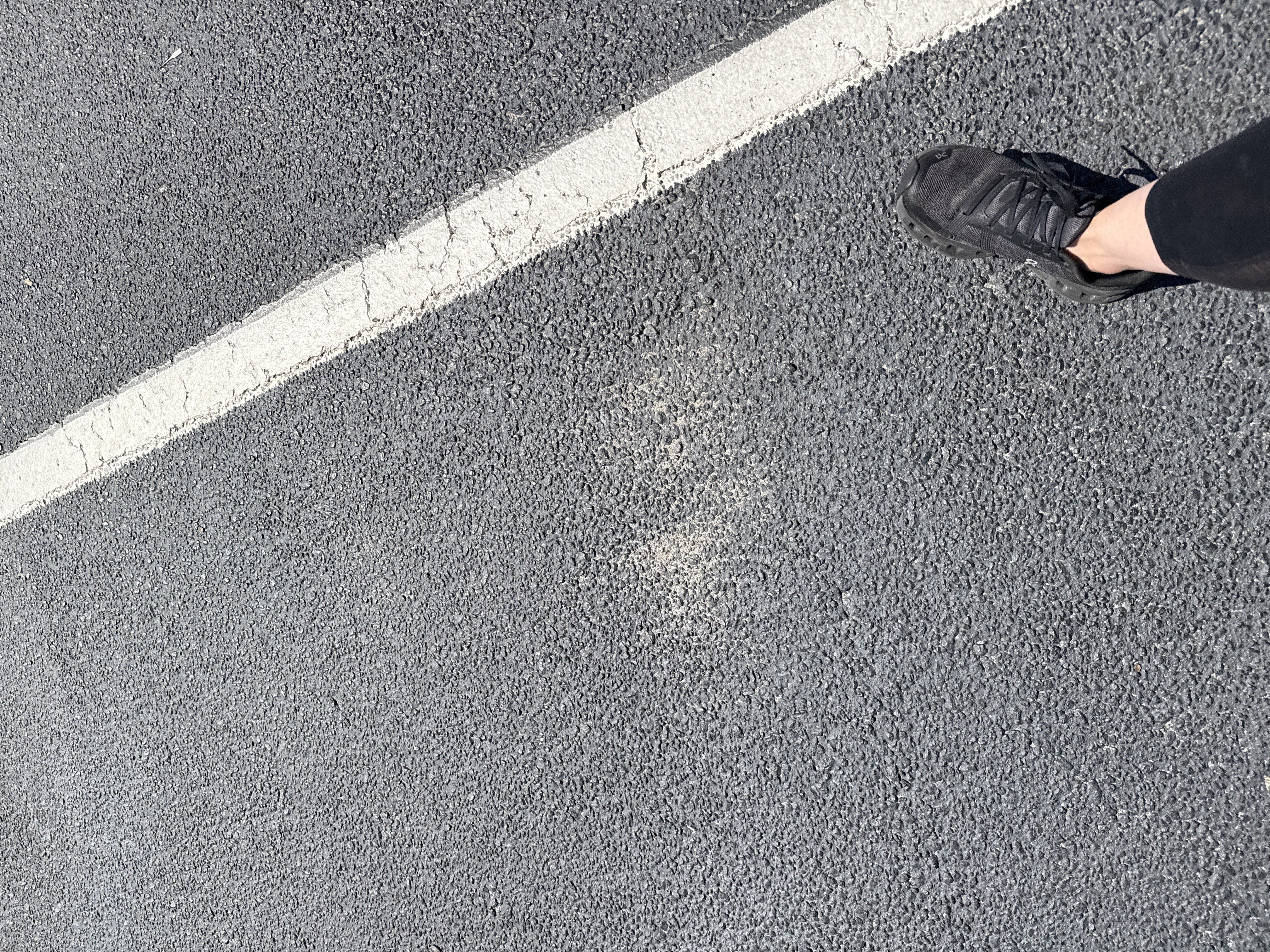 Used 2024 Jeep Wrangler Sahara w/ Technology Group image 36