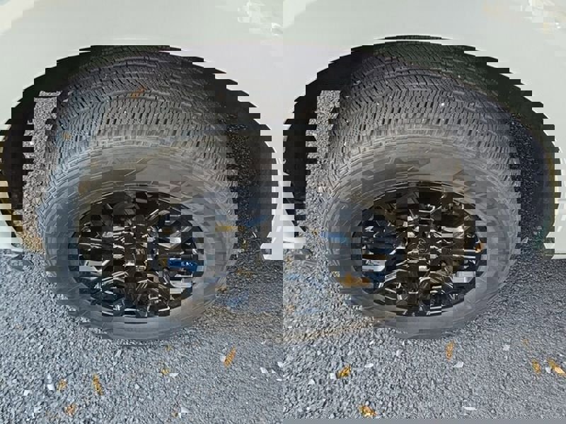 Used 2024 Ford F150 XLT w/ XLT Black Appearance Package image 18