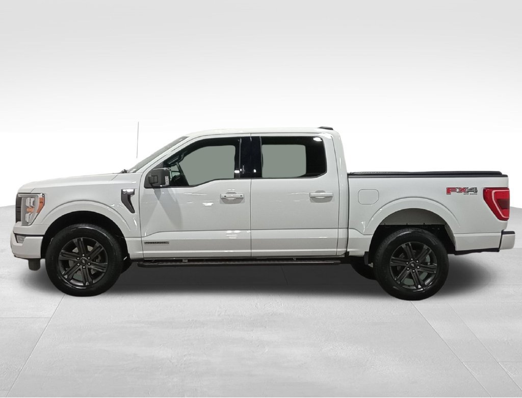 Used 2023 Ford F150 XLT w/ Equipment Group 302A High AWD/4WD image 9
