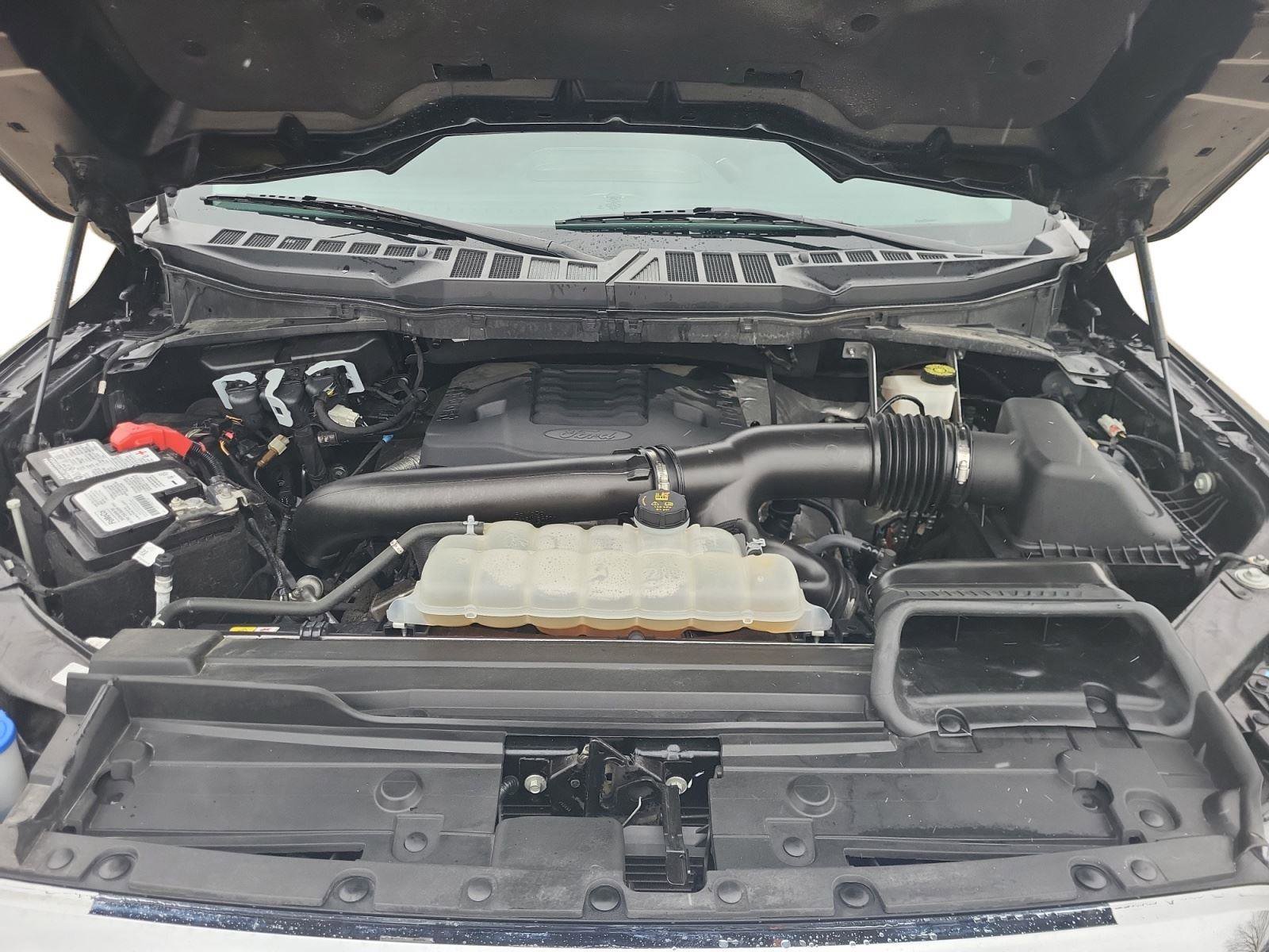 Used 2023 Ford F150 XLT w/ Equipment Group 301A Mid image 23