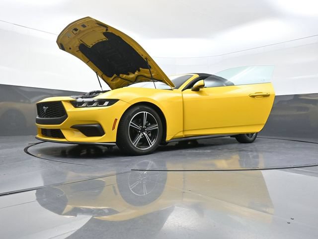 Used 2024 Ford Mustang Premium RWD image 31