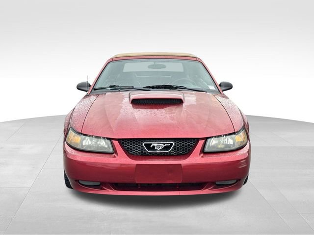Used 2003 Ford Mustang GT image 8
