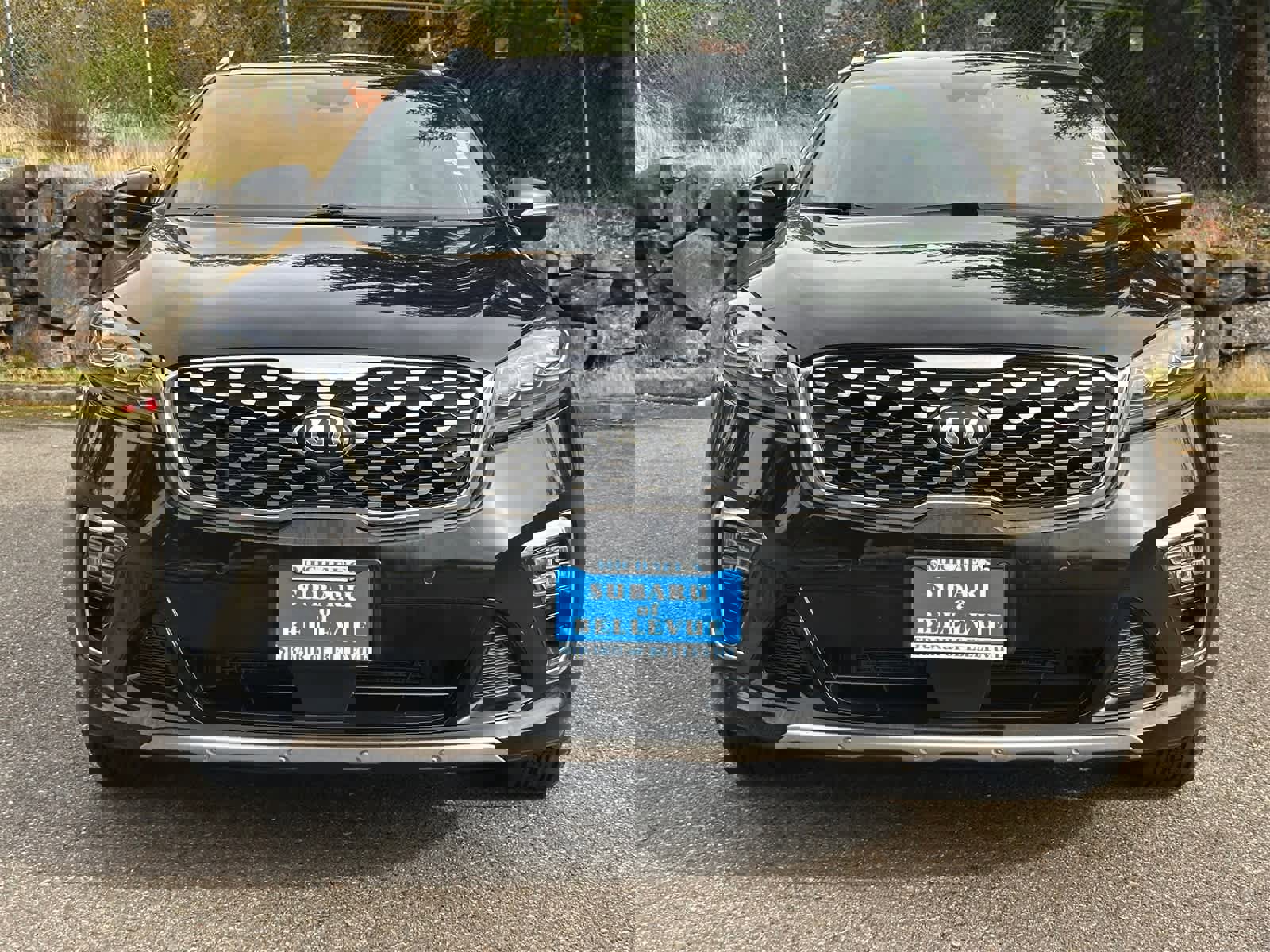 Used 2019 Kia Sorento SX image 5