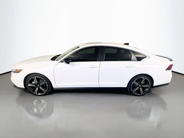 Used 2024 Honda Accord Sport image 5