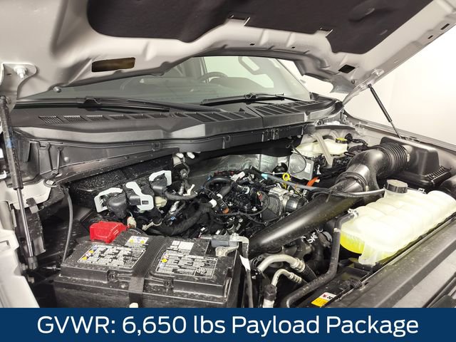 New 2026 Ford F150 XLT w/ Equipment Group 302A MID image 12