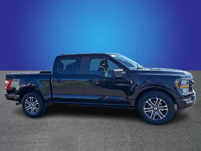 Used 2023 Ford F150 XL w/ STX Appearance Package RWD image 3