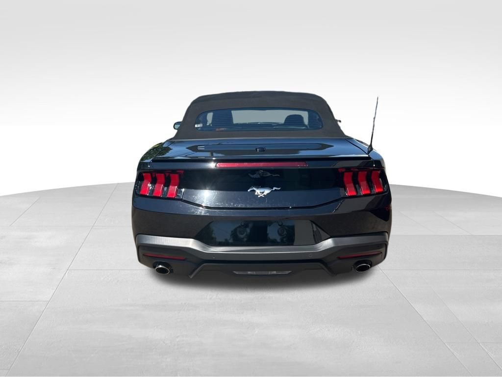 Used 2025 Ford Mustang Premium RWD image 18