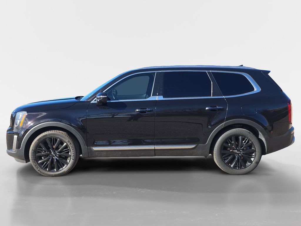 Used 2021 Kia Telluride SX w/ SX Prestige Package image 2