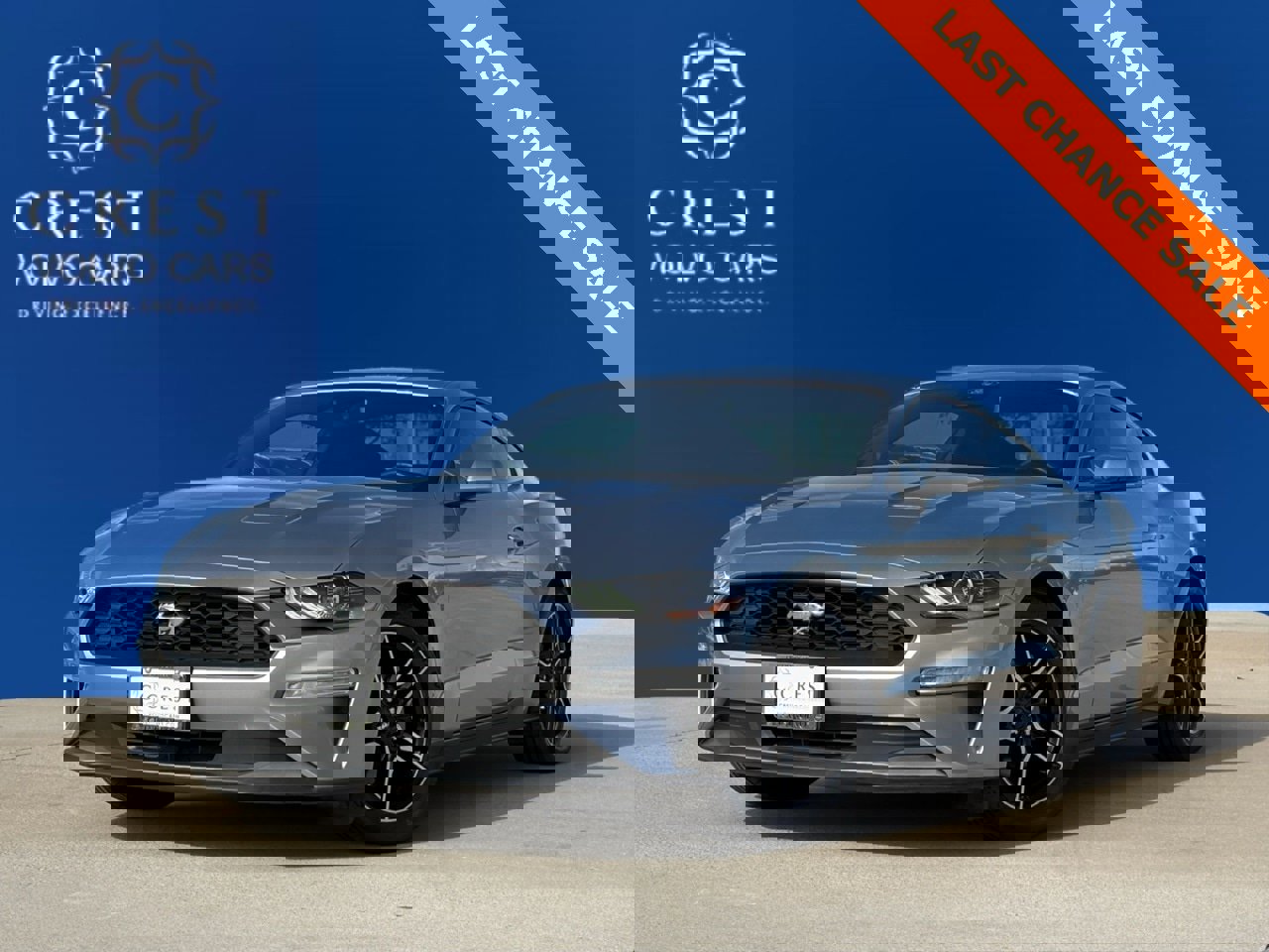 Used 2023 Ford Mustang Premium image 1