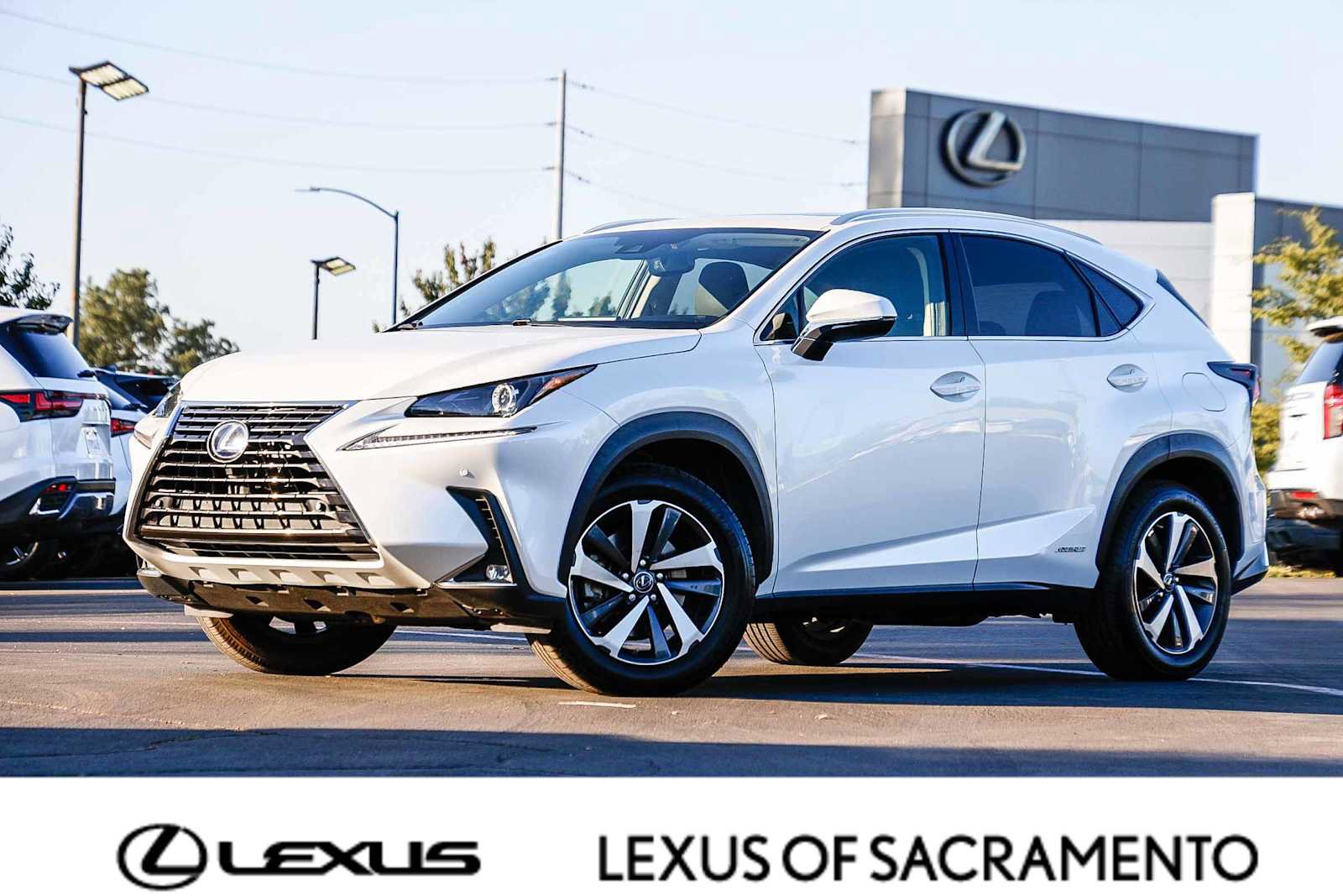 Used 2020 Lexus NX 300h AWD w/ Premium Package