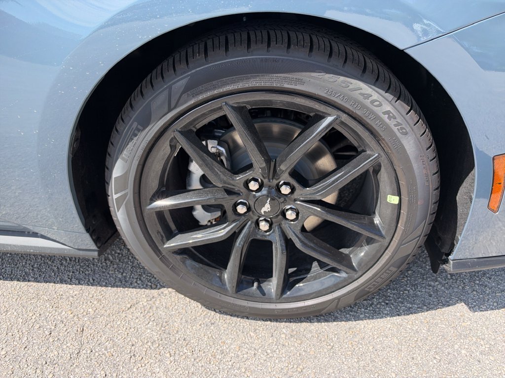 New 2026 Ford Mustang Premium RWD image 11