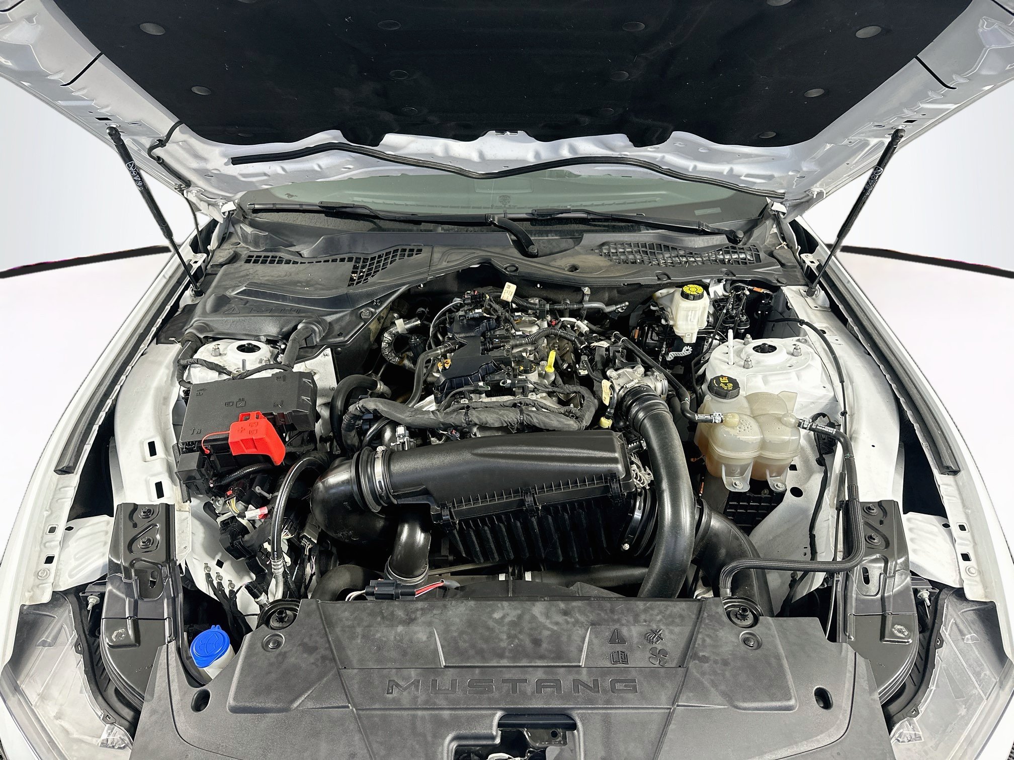 Used 2024 Ford Mustang Coupe RWD image 31