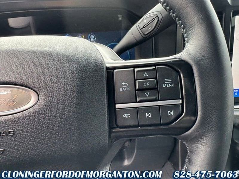 New 2026 Ford F250 Platinum w/ Tremor Off-Road Package image 19