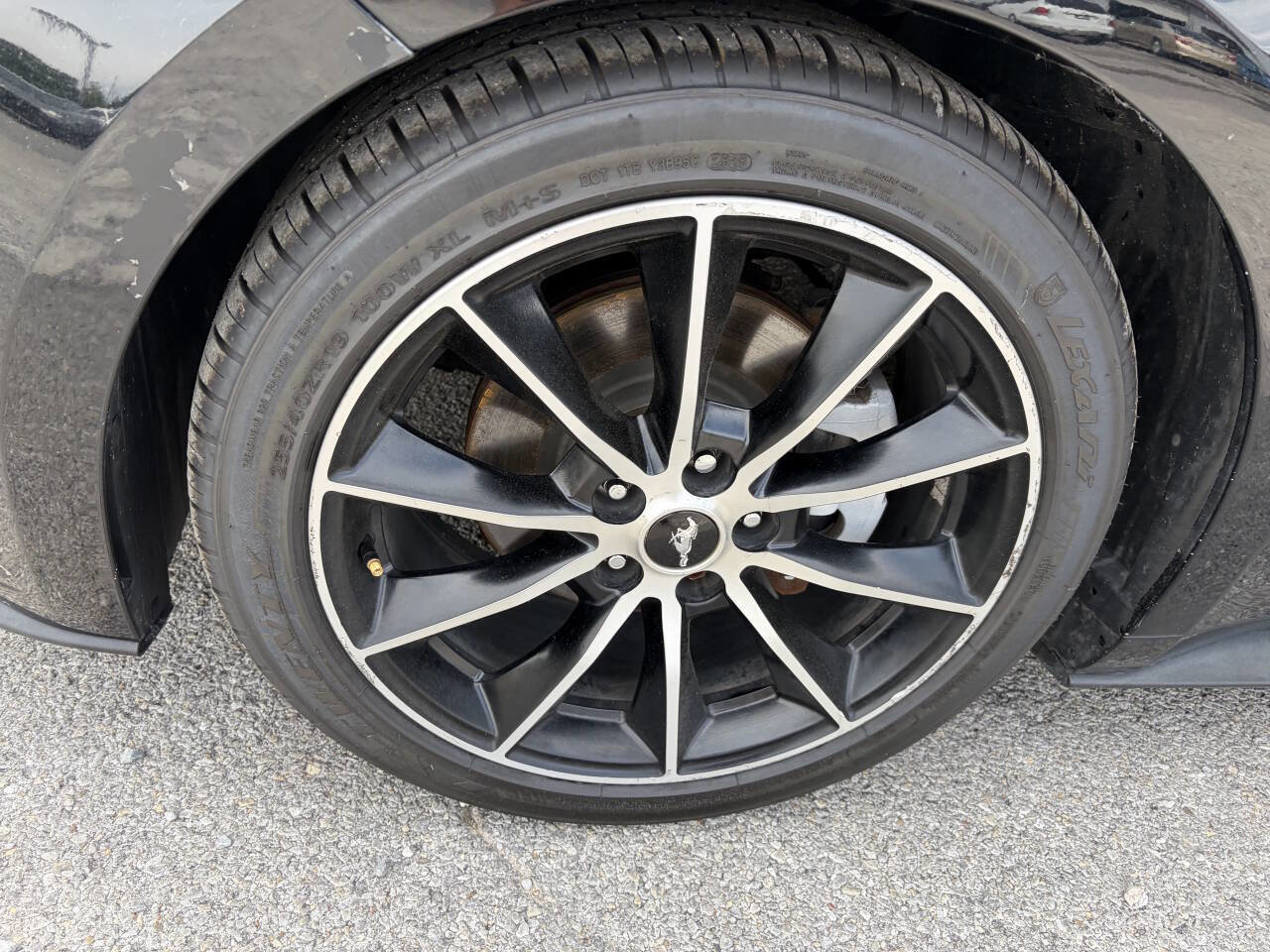 Used 2016 Ford Mustang Premium w/ Wheel & Stripe Package RWD image 10