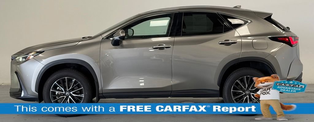 Used 2024 Lexus NX 350 AWD w/ Cold Area Package video 2
