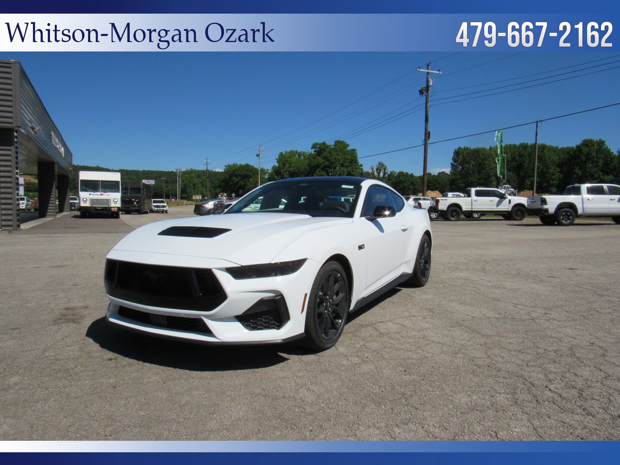 New 2026 Ford Mustang GT w/ Mustang Nite Pony Package RWD image 6