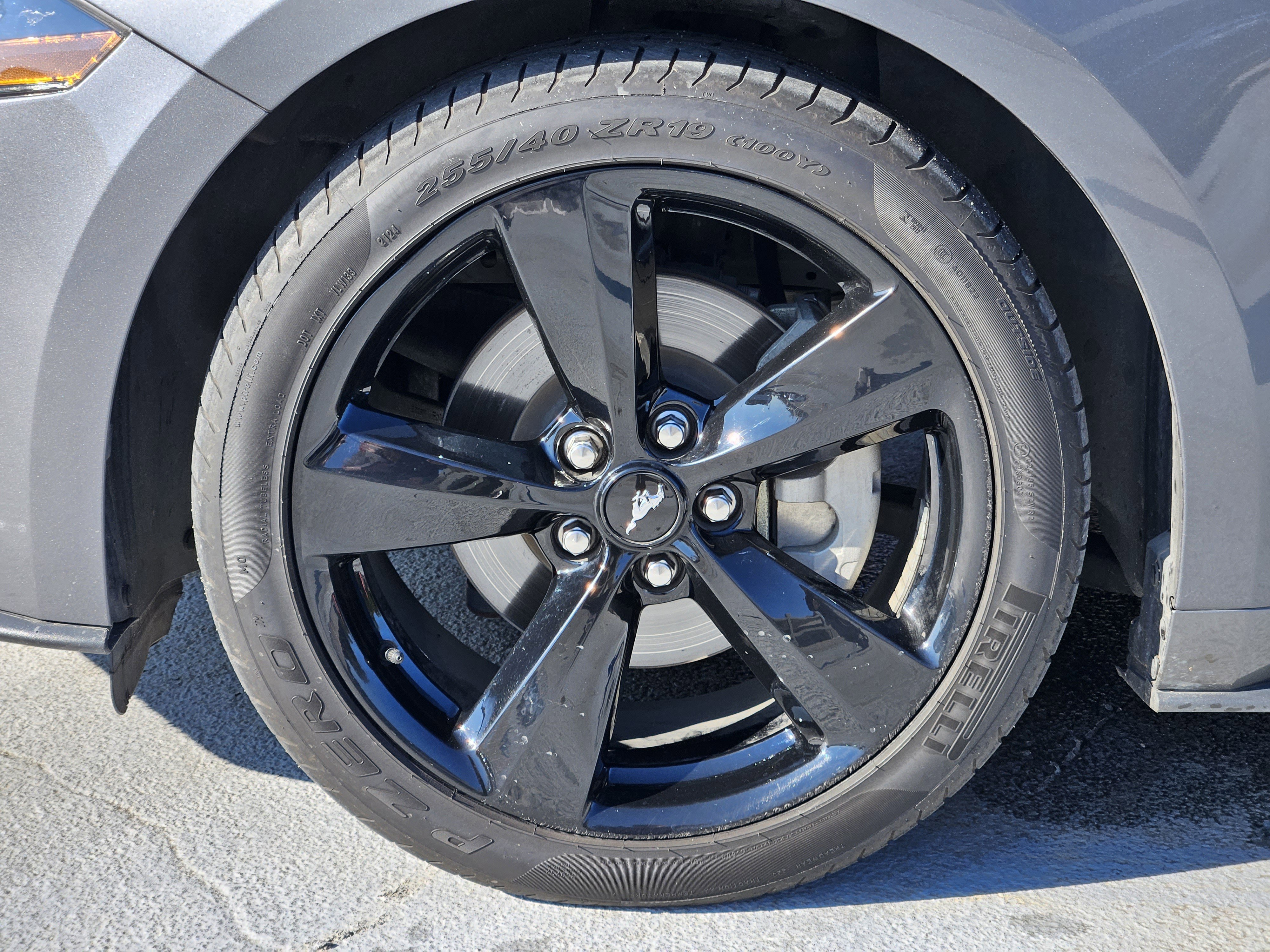 Used 2023 Ford Mustang EcoBoost w/ Equipment Group 101A image 13