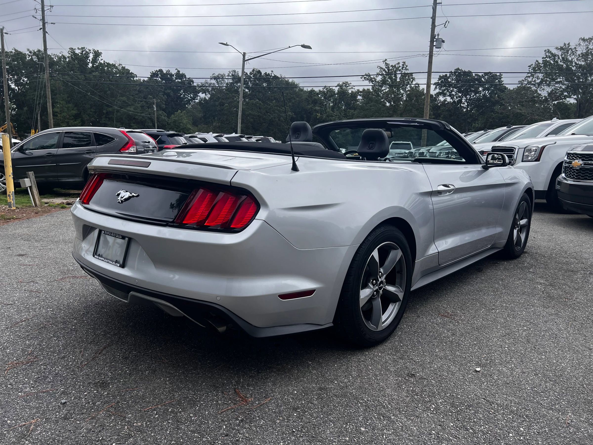 Used 2017 Ford Mustang Premium image 5